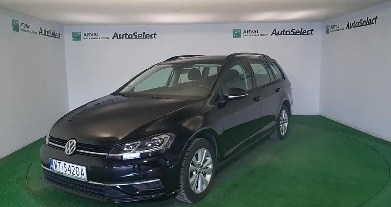 volkswagen golf Volkswagen Golf cena 51900 przebieg: 133967, rok produkcji 2019 z Tuchów